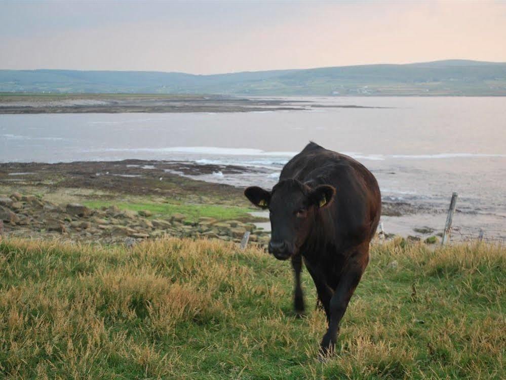 Creevagh Heights B&B Killala Dış mekan fotoğraf